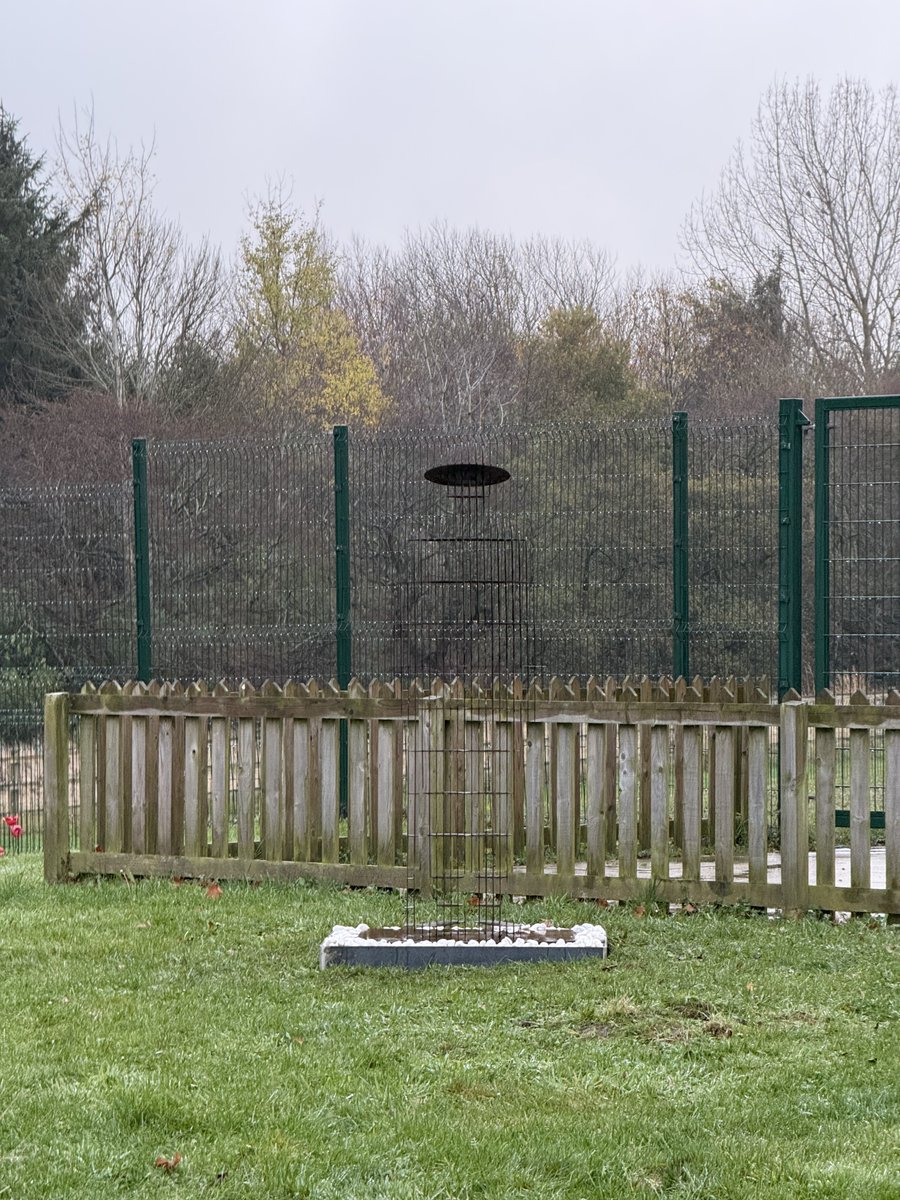 A fitting tribute to the fallen was formally dedicated this morning at school in a small service.
The soldier disappears as you approach the school, if only for a second , before reappearing - representing those that died who are now remembered by us all.
#RemembranceDay2024