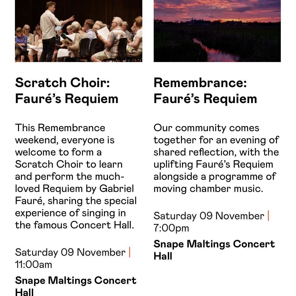 🏴 Michael New 🏴 tweet media