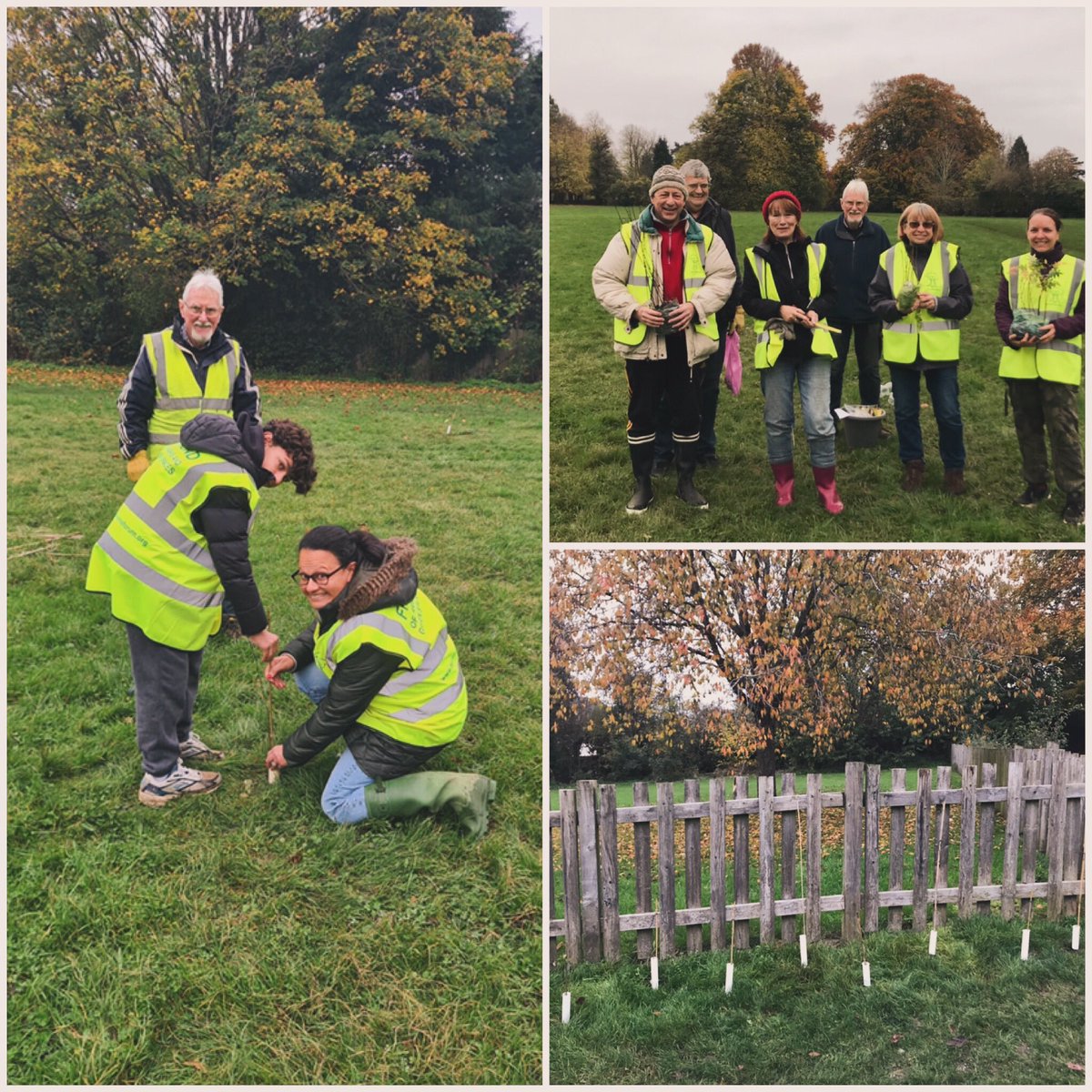 Thanks to our amazing volunteers &amp; @WoodlandTrust there are 60 new hedgerow  &amp; copse saplings in the park today. Help them grow into mighty trees by keeping dogs &amp; balls at a safe distance! <a href="/OrpingtonFC/">Orpington FC</a> <a href="/LBofBromley/">Bromley Council</a> <a href="/ParksforLondon/">Parks for London</a> <a href="/idverde_Bromley/">Bromley Parks</a>