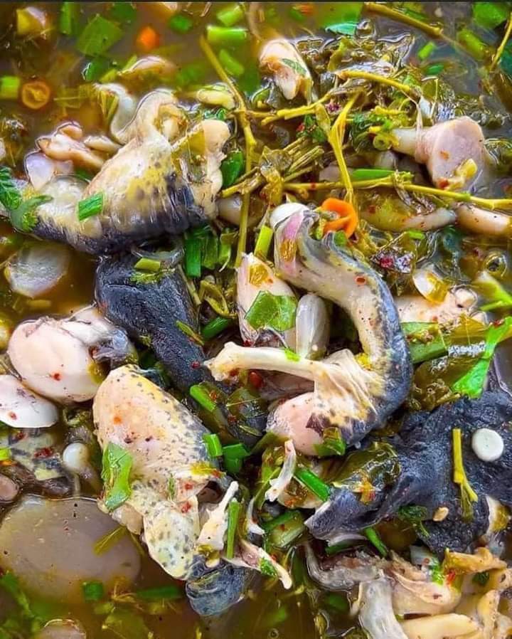 ariborne's tweet photo. กินข้าวเด้อ... พิกัด:เขาวง
#เขาวง 
#กาฬสินธุ์ https://t.co/Iy4WrVy5Mb