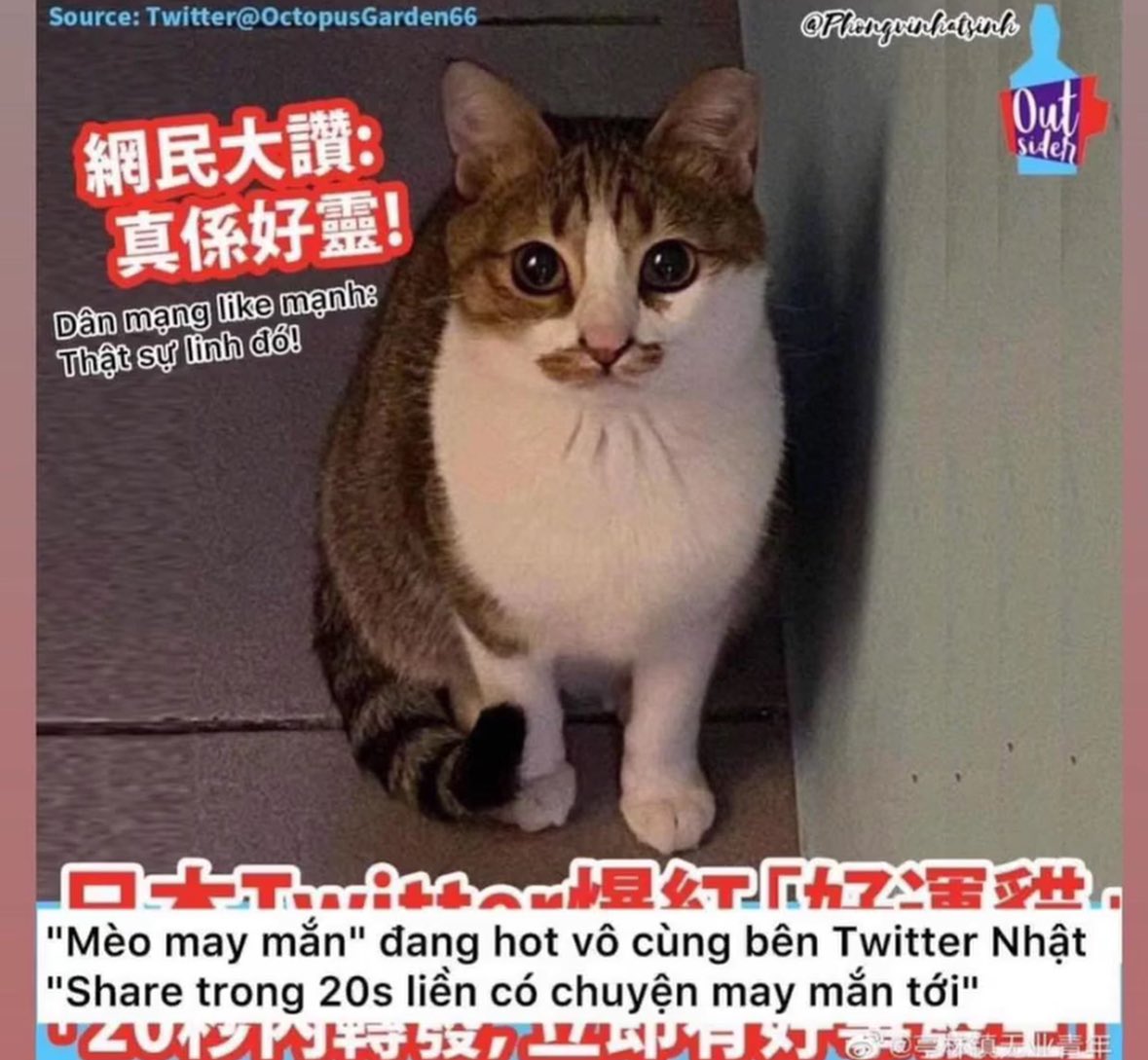 Nghe noi la that