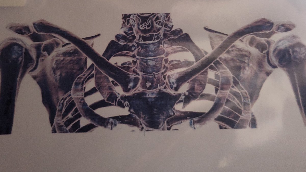 Life_leon's tweet image. #хтивийпонеділок #длядуші #nofi