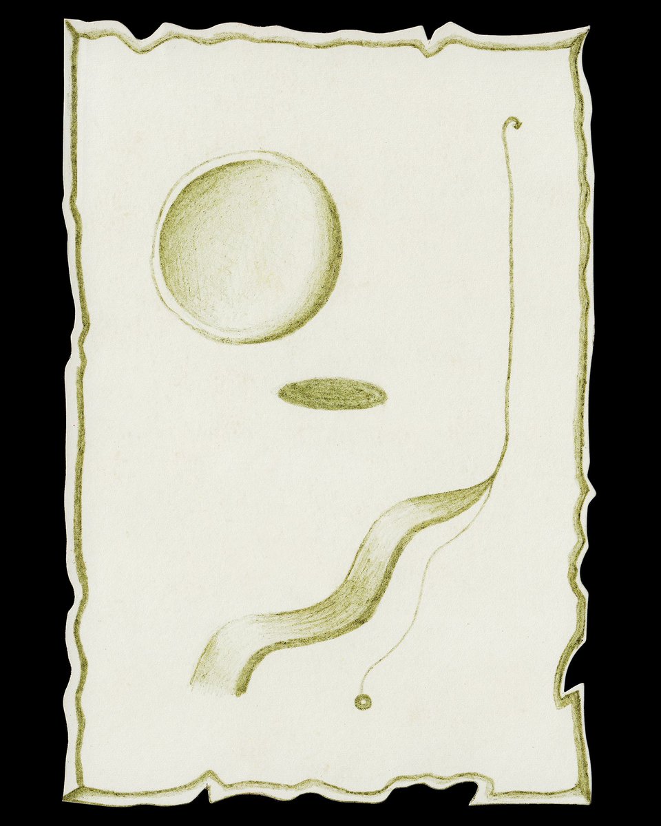 Remycelium tweet media