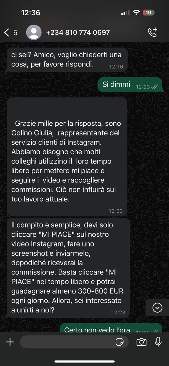 niko tweet media