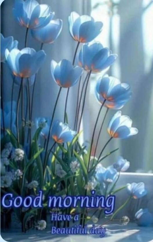 Md. Mahmud Hossain Razib. (@razib_tti) on Twitter photo 