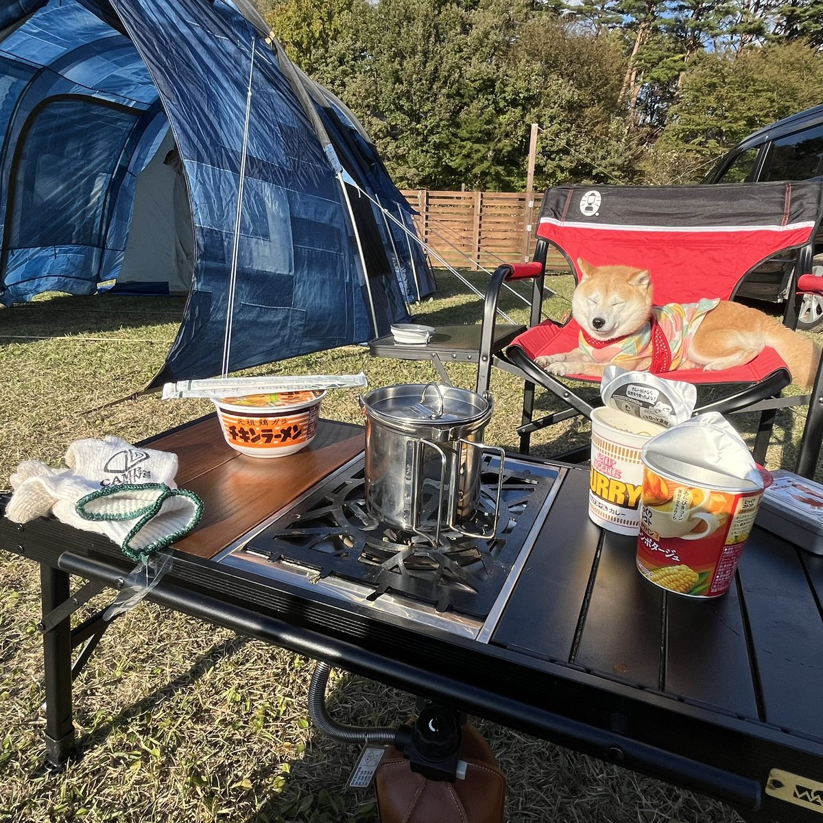 ponse_shimariya's tweet photo. テント設営しながらカレーめん&チキラー
#キャンプ #キャンプ飯 #キャンプ好きな人と繋がりたい #factland #factlandキャンプ場 #カレーめん #チキラー #カプヌ #日清食品 #酒 #snowpeak #フラットバーナー #waq #coleman #インディゴレーベル #豆柴 #豆柴のいる暮らし #犬好きな人と繋がりたい https://t.co/RVTuSAoA9l