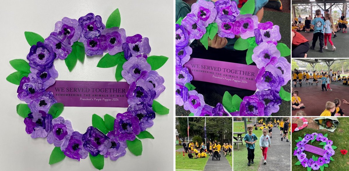 This morning we attended our P-6 Remembrance Day Assembly. Each class created a sign of remembrance to lay at the base of the flagpole. We chose the purple poppy to remember the animals of war who served together alongside our servicemen and women 💜 #LestWeForget #TeamPreschool