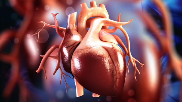 📚New #ECRJournal Article: "Staging of Heart Failure with Preserved Ejection Fraction"

📚 Just Published!

🔓Access it here 👉 ow.ly/b0rZ105OAjg

 #CVImaging #MedEd #HeartFailure #CardioTwitter