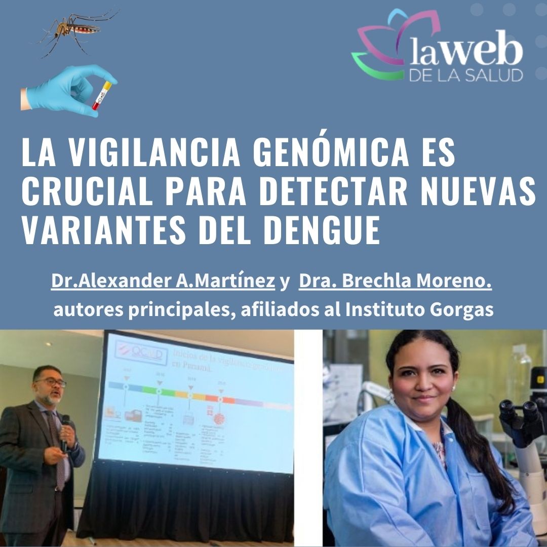 La vigilancia genómica es crucial para detectar nuevas variantes del dengue, estudio colaborativo <a href="/opsoms/">OPS/OMS</a> <a href="/MINSAPma/">Ministerio de Salud de Panamá</a> <a href="/UNIVERSIDAD_PMA/">Universidad dePanamá</a> liderado por  <a href="/InstitutoGorgas/">Instituto Conmemorativo Gorgas</a>, autores principales Dr.Alexander A.Martínez <a href="/AlexanderTM507/">Alexander Martinez C</a> Dra. Brechla Moreno <a href="/bremor23/">brechla moreno</a>
lawebdelasalud.com/la-vigilancia-…