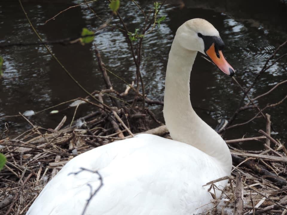 Scottish Canals tweet media