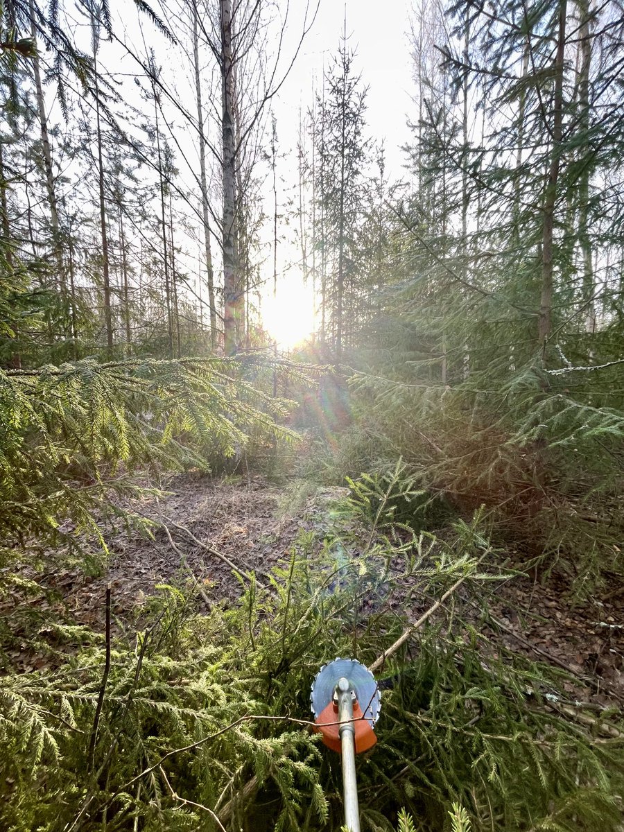 Tästä se ei työilma enää parane.