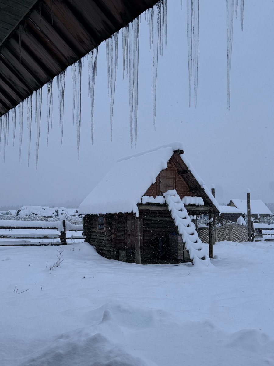 yangyubin1998's tweet photo. The snow depth in Hemu Village, Altay, Xinjiang has exceeded 30cm! https://t.co/IzyZNUgOsU