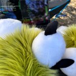 Photo by nicole!🐾 sweet'n'tender (@sweetntender)
