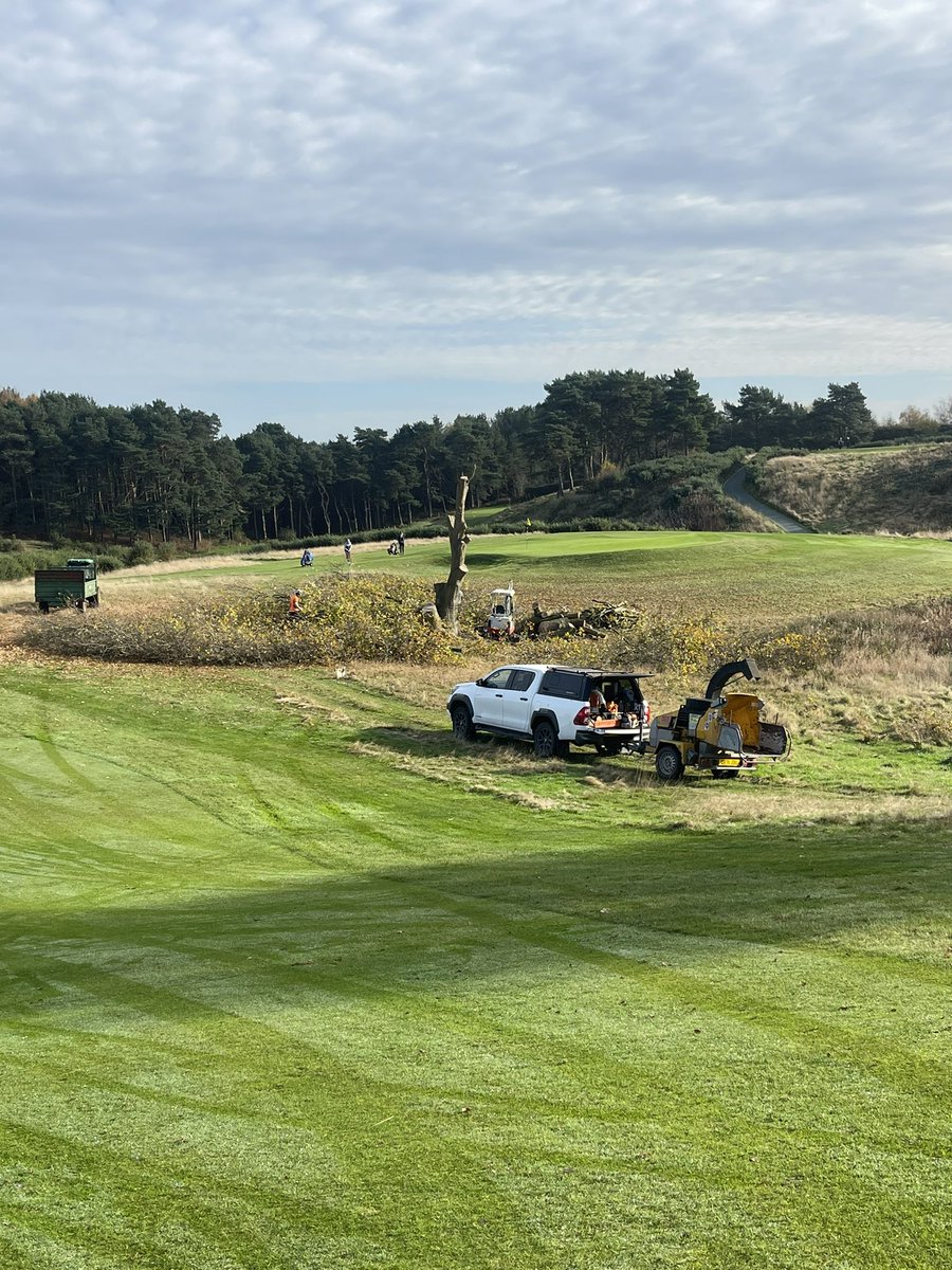 Unfortunately due to various splits down the main trunk, it had to come down.