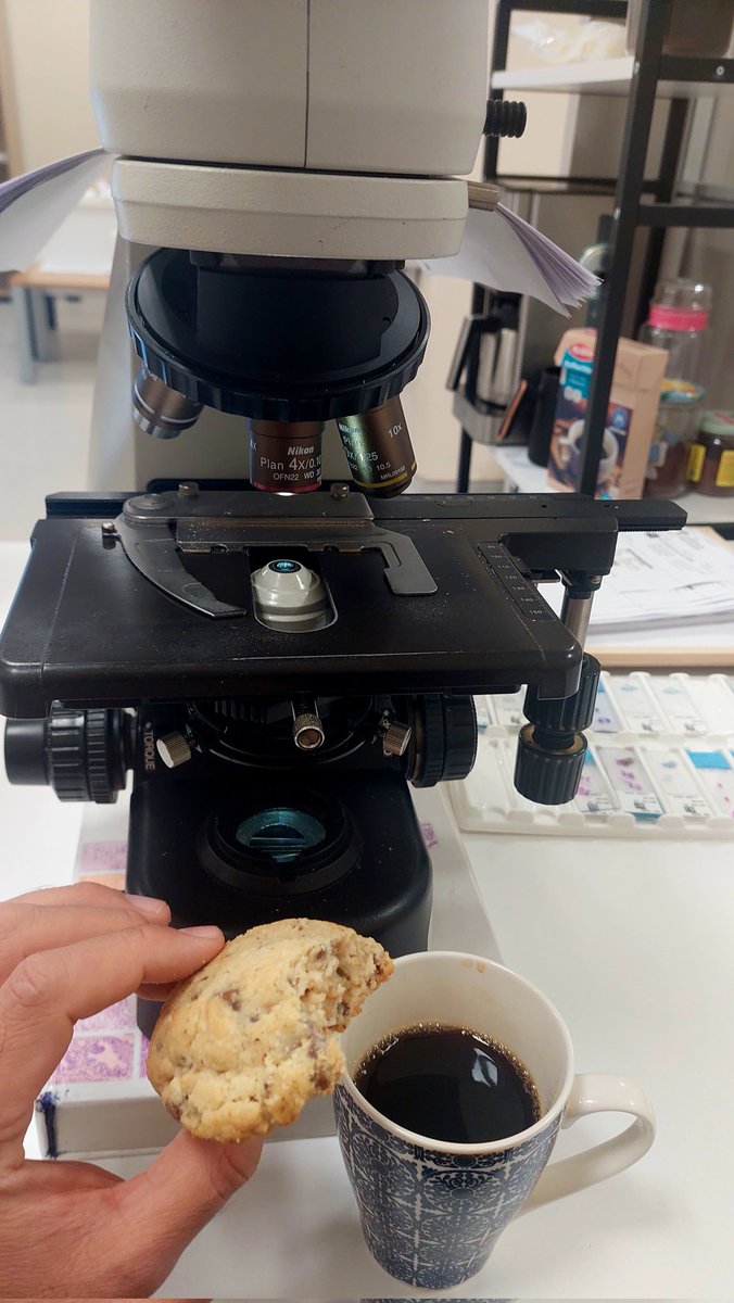 drpathoss's tweet image. #pathology kahve ve kurabiye varsa gam yoktur.