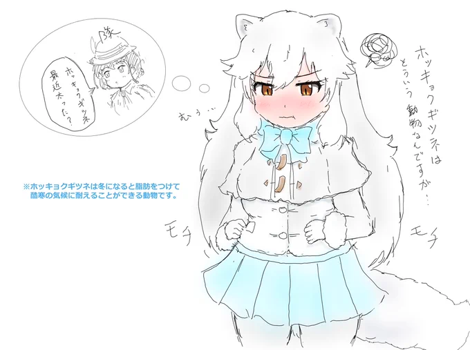冬毛のホッキョクギツネって
いいですよね… 