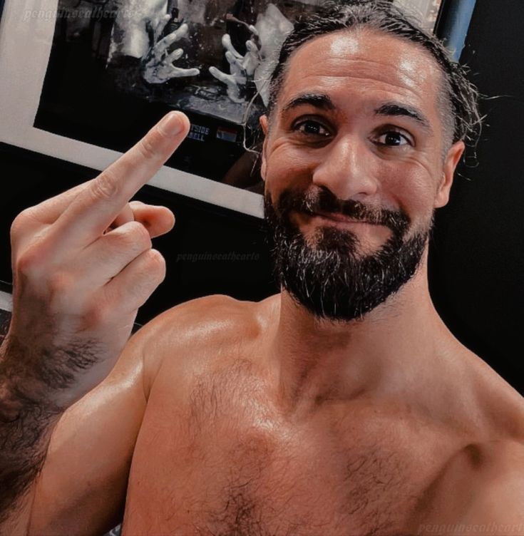 Daily <a href="/WWERollins/">Seth Rollins</a> image..