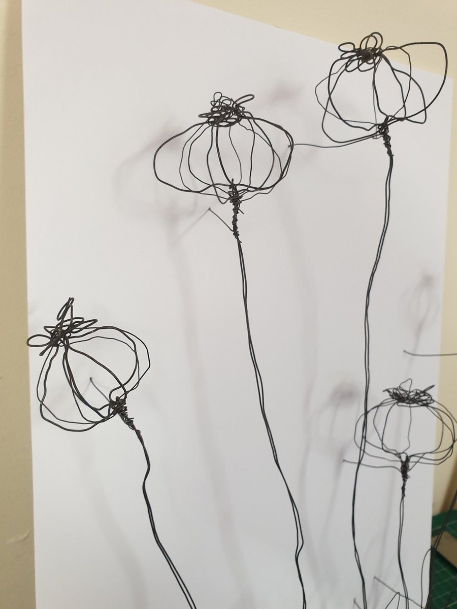 Enter the raffle to win 'Audrey's Feverfew Fandango' - mailchi.mp/2fc1645dea9b/a…