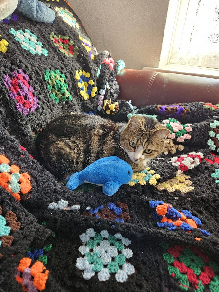 Angel Annie. tweet media