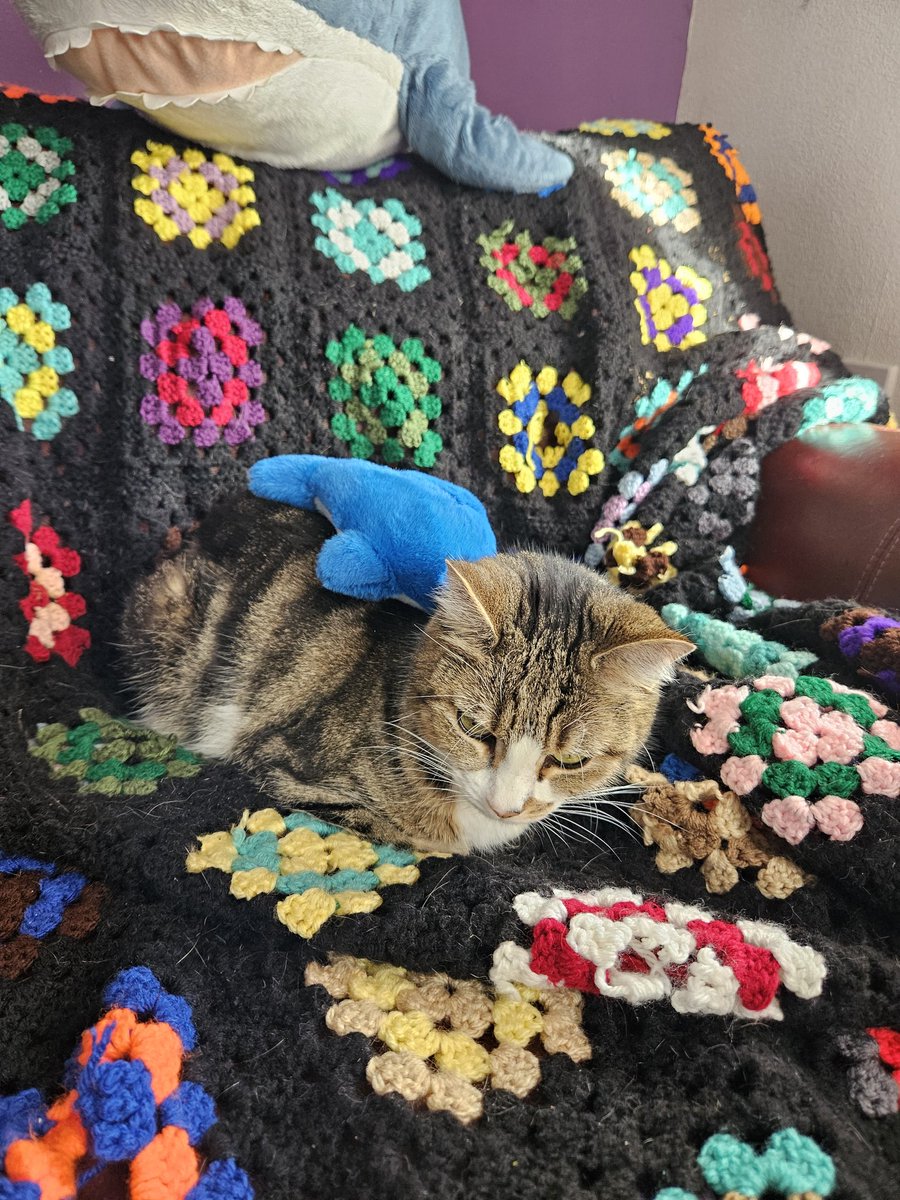 Angel Annie. tweet media