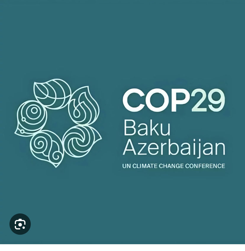 Khady Camara Écoféministe tweet media