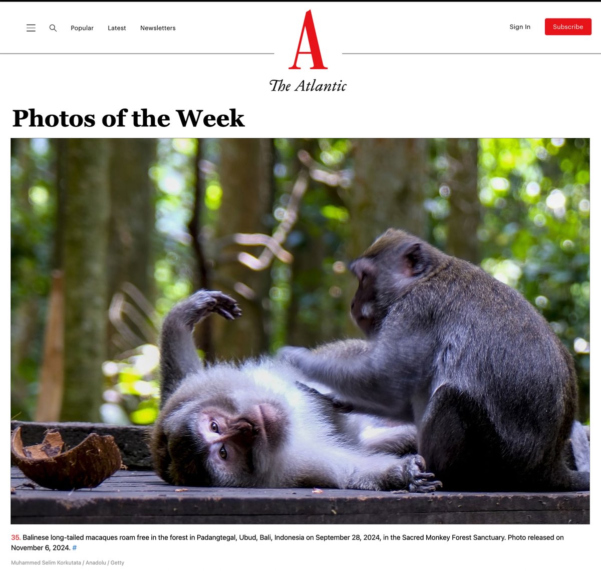 serapaaydin's tweet photo. Photos of the Week https://t.co/ffi4LGkVbx #AA #Bali

📸 M. Selim Korkutata @SelimK_ATA @anadoluimages https://t.co/94VjceUKbU