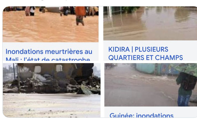 Khady Camara Écoféministe tweet media