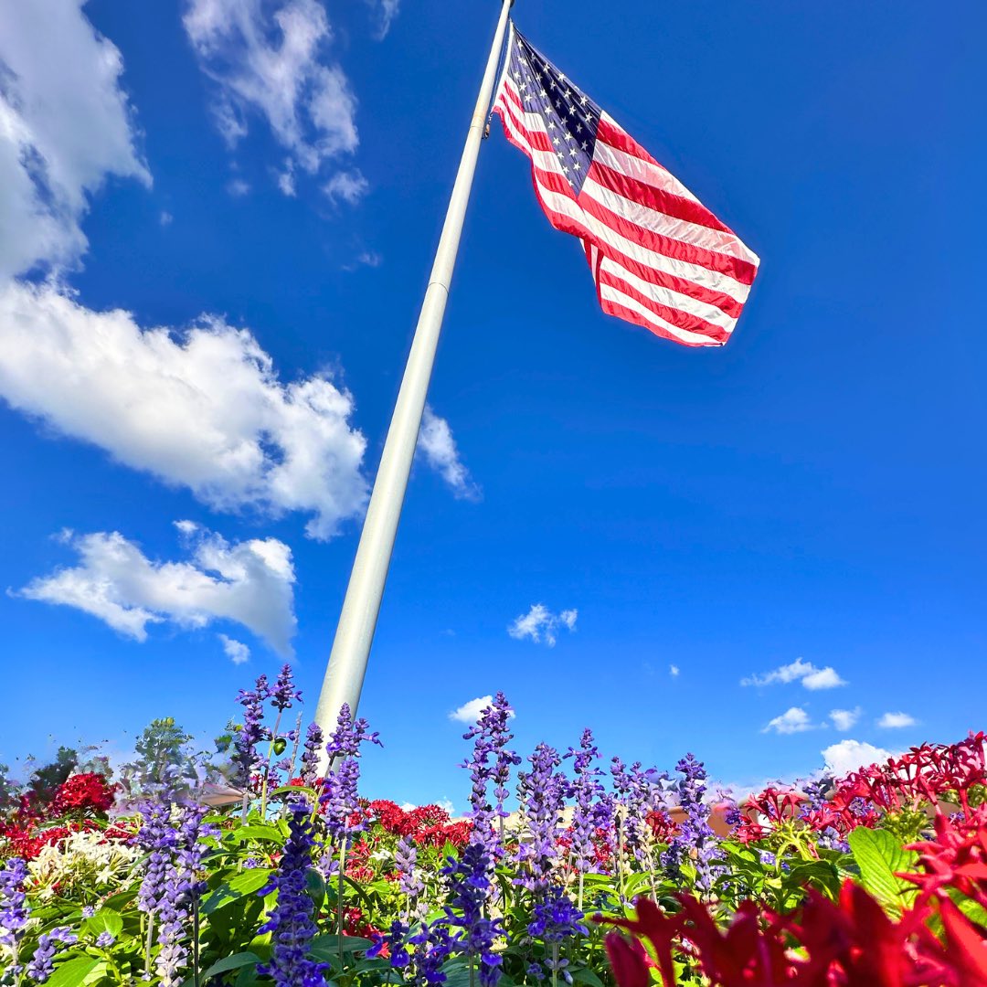 Happy Veterans Day! 🇺🇸🇺🇸🇺🇸

Thank You For Your Service To This Beautiful Country

Plus To All The Families Who Has Served Alongside Them.

Thank You! ❤️

#Orlando #VeteransDay
#VeteransDay2024 #Veterans
#Epcot #WaltDisneyWorld