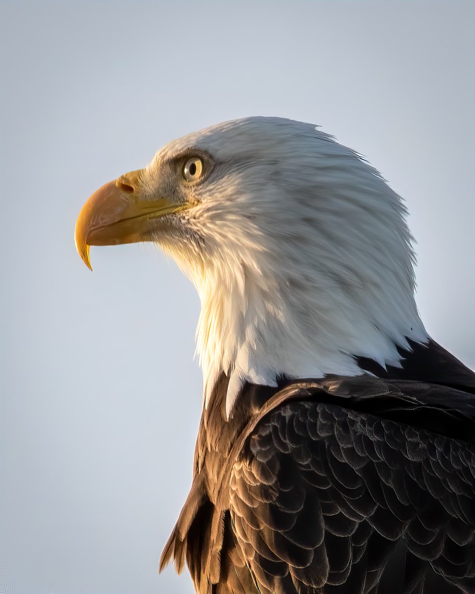 U.S. Fish and Wildlife Service tweet media