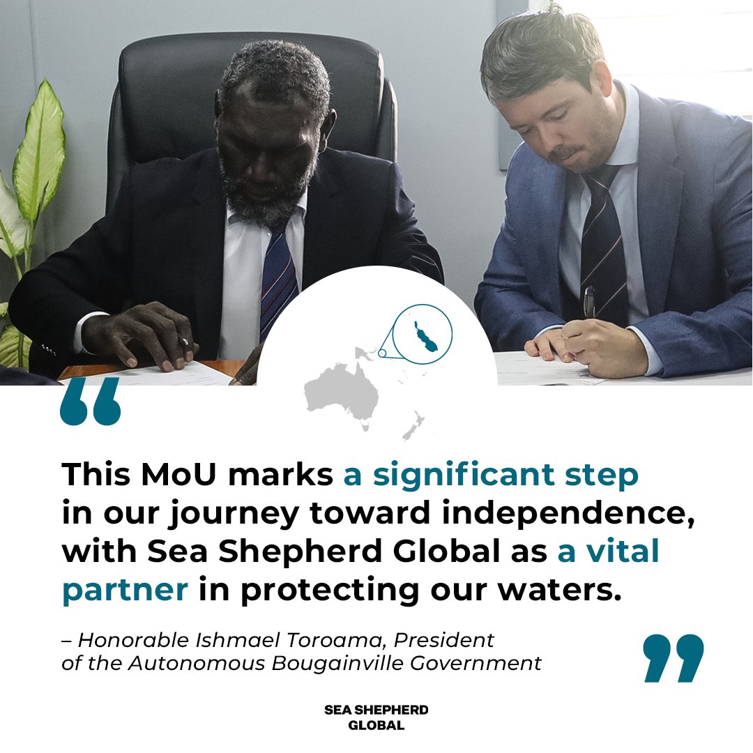 📣 #BREAKINGNEWS - We’re excited to announce a new partnership to protect #Bougainville, an autonomous region in #PapuaNewGuinea in the Coral Triangle, home to species like #mantarays and #seaturtles. Read the full media release here: seashe.ph/NewEraForSouth…