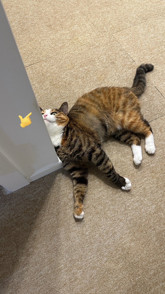 맨날 모서리에 부비작해서 벽지 때탐 ;;