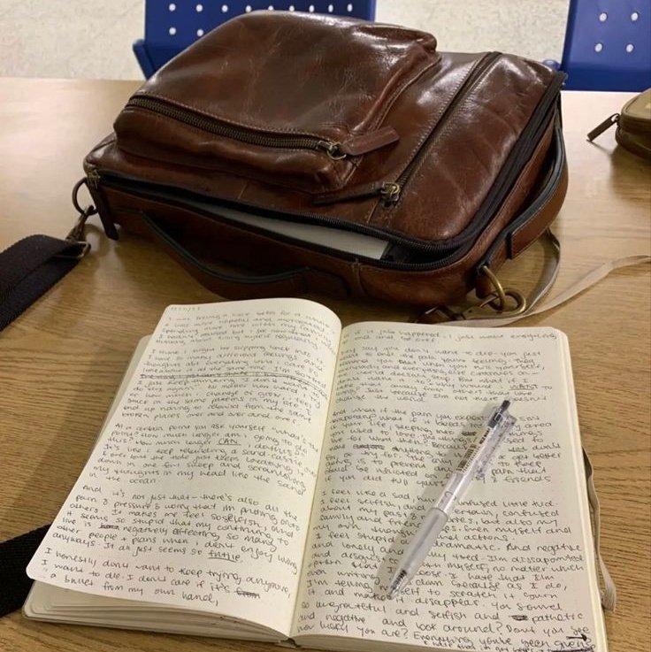 bloom 🥯 tweet media