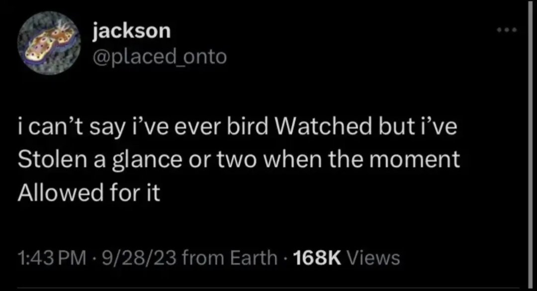 hyperdiscogirl's tweet image. one of my fav tweets probably