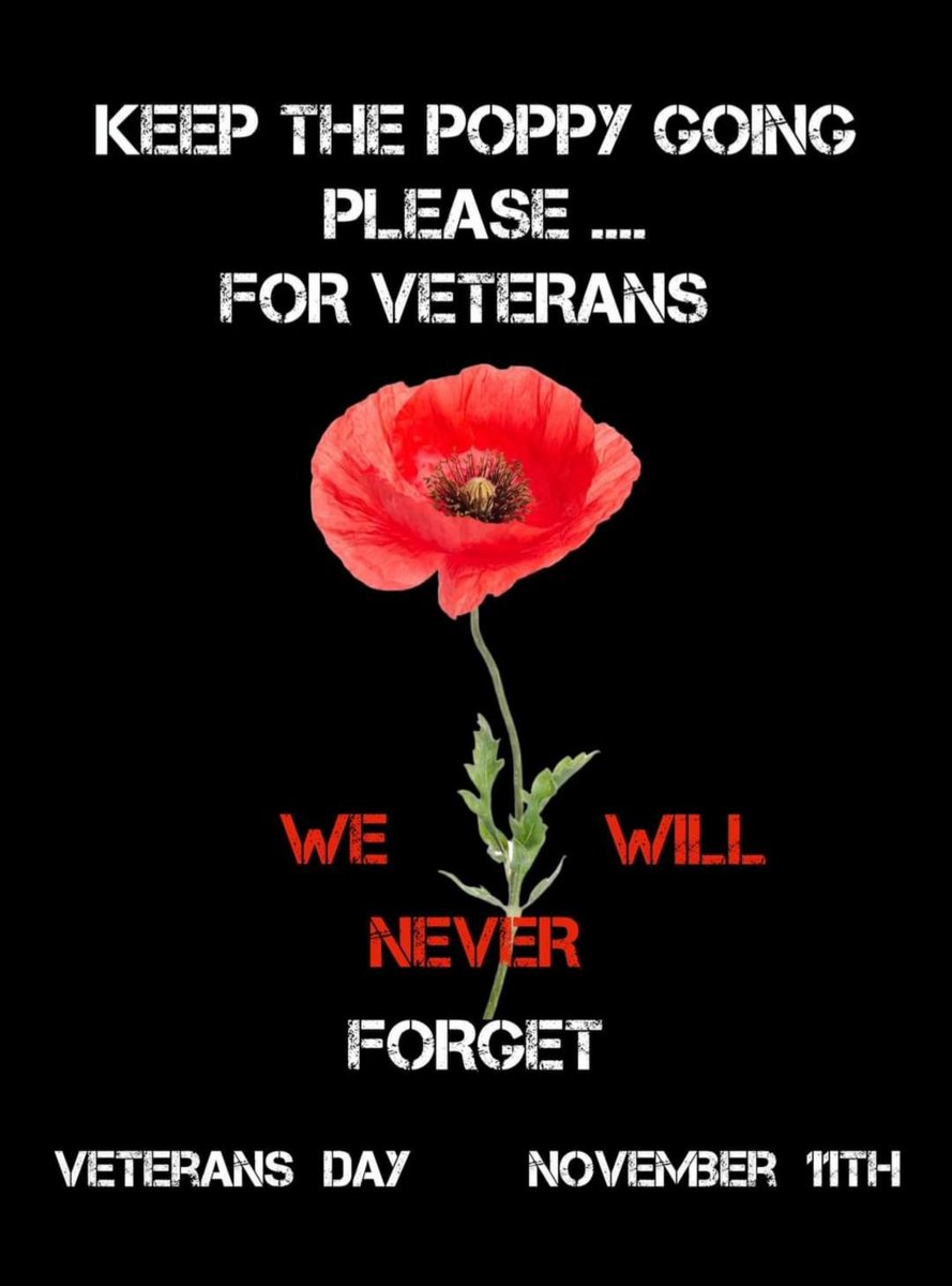 Blue Dot (@suzeok405) on Twitter photo 