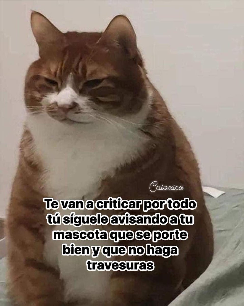 adriluna25's tweet photo. Los vecinos saben que esta loca😸😸😸🐾🐾🐾 https://t.co/KCaJwnzFmJ