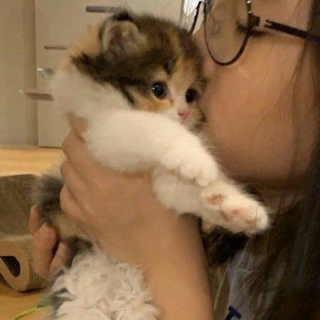 🐰ྀི (@getabinny) on Twitter photo 