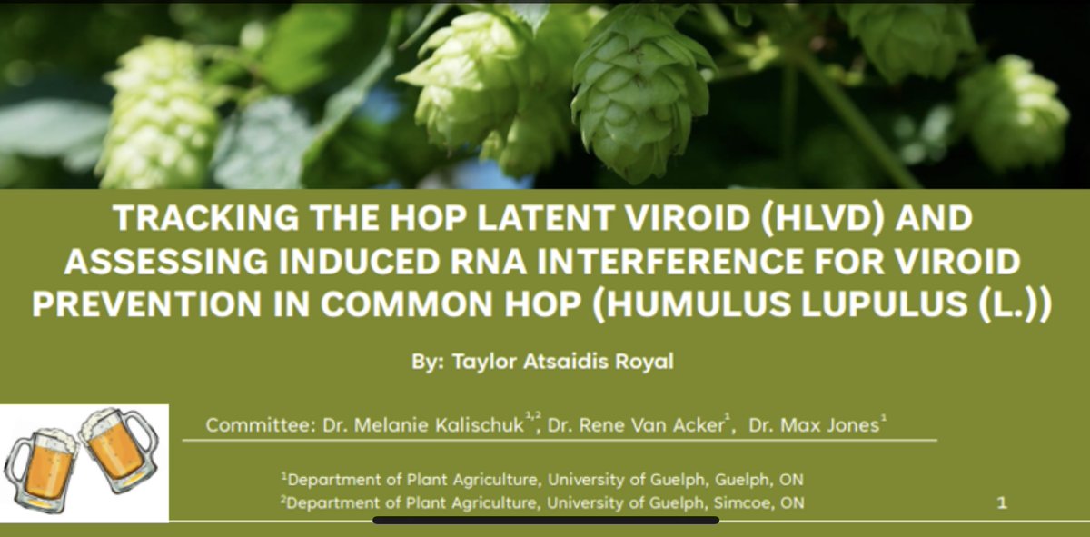 melkalischuk's tweet photo. A huge congratulations to Taylor Royal for a successful MSc defence! 🥳🎉👏
This project is part of my research program on the use of RNAi in agriculture as an alternative to chemical pesticides. https://t.co/AkXoO3Y0Ut