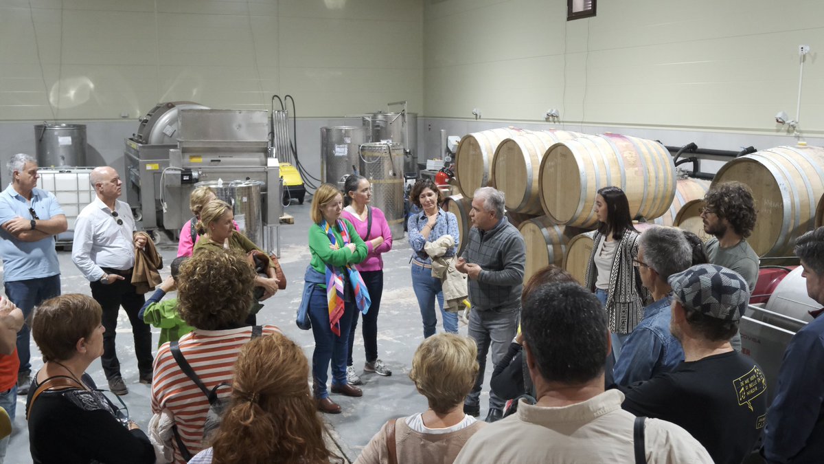 Bodegas Infante tweet media