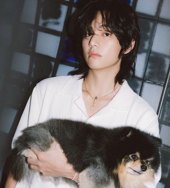 3K retweet for this tweet immediately! 🚨

I'm voting for #V at #2024MAMAVOTE