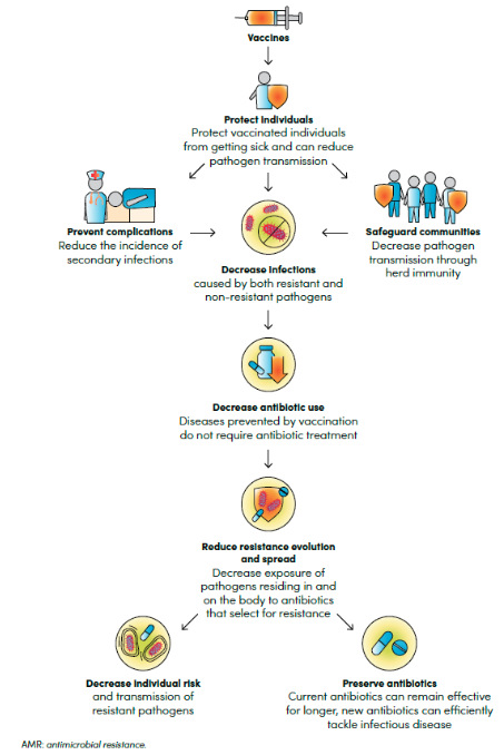Las vacunas contribuyen a reducir las resistencias microbianas a los antibióticos. Dicho queda.
❇️vacunasaep.org/profesionales/…