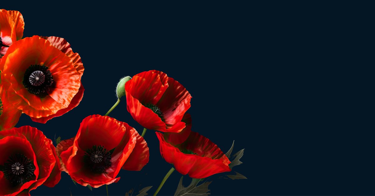 Today, Littlefish honors those who defended our freedoms, including Armed Forces, emergency services, and all who lost lives to conflict. 

Let’s unite to remember these heroes. 🎖️

#LestWeForget #RemembranceDay #PoppyAppeal