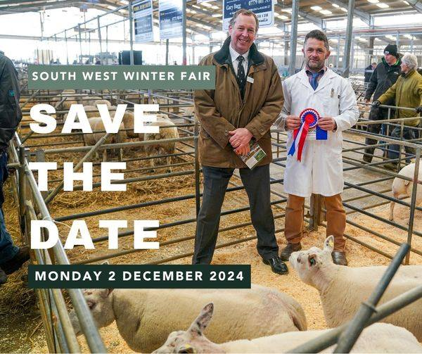 Join us next month for the South West Winter Fair, find out more below! ⬇️

📅 2nd December
🔗 View schedule: bit.ly/SWWF2024

📍 Sedgemoor Auction Centre

❗ Entries close Mon 25th Nov
#agriculture #farminguk #swwinterfair #westcountry #gth #greensladetaylorhunt
