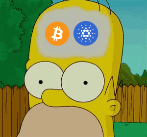 Crypto_Xplained's tweet photo. Me today: Bitcoin and Cardano up. #Altseason is here 🚀🚀 https://t.co/QwGVastWZV