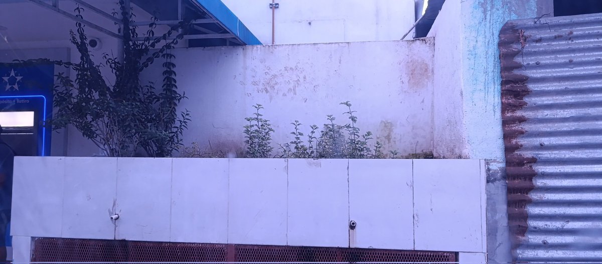 El banco <a href="/bancogeneral/">Banco General</a> de la sucuyse Las Tablas debería hacer un lindo jardín allí, ve vería más linda la sucursal