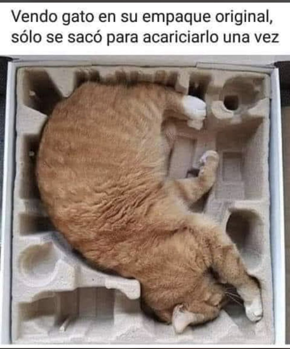 Dr_Otorongo_'s tweet photo. #BuenosDias #Oferton https://t.co/O4Vp4fnlju