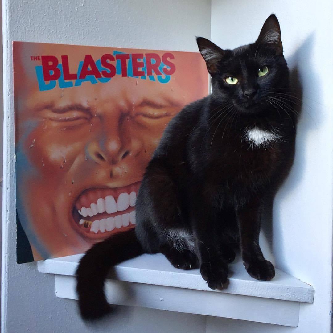 Cincyvinylcats (@jsmallseattle) on Twitter photo MONDAY SPINS
THE BLASTERS (1981)
Happy birthday to <a href="/davealvin/">Dave Alvin</a>
Here is PJ with the second album from The Blasters, but first for Slash Records
Favorite tracks are ā Border Radioā, āSo Long Baby Goodbyeā, and āMarie Marieā. MONDAY SPINS
THE BLASTERS (1981)
Happy birthday to <a href="/davealvin/">Dave Alvin</a>
Here is PJ with the second album from The Blasters, but first for Slash Records
Favorite tracks are ā Border Radioā, āSo Long Baby Goodbyeā, and āMarie Marieā.