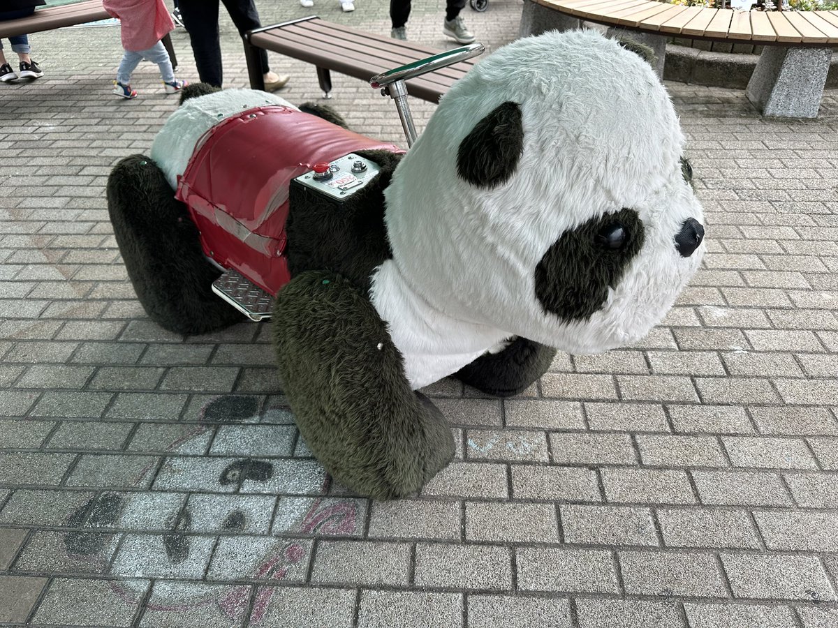 mayuppo's tweet photo. わんぱーくこうち
入園無料やのに想像以上に色んな種類の動物いてびっくりした🦁
アポロ2000にも乗った。死ぬかと思った。
子供たち楽しそうで土佐弁で幼少期の川村さんの面影を見た
#アンジュルム
#川村文乃
#かむ高知観光
#高知アンジュルム祭り
#どっぷり高知旅
#こうちが好きやき
#5mm https://t.co/4lQXcdHmse