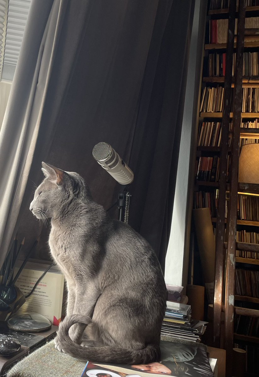 Andr6wMale's tweet photo. #Hildy #Podcat https://t.co/xBiD8wRoJs