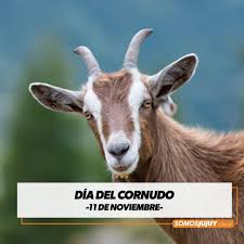 Feliz día del cornudo, pero no te quemés no le hagas ningún regalito a tu pareja.