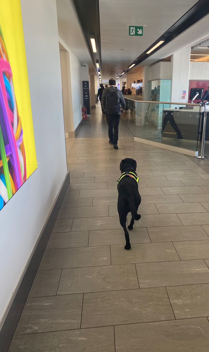 City Airport Police (@mpscityairport) on Twitter photo Police Dog Blu has been busy searching <a href="/LondonCityAir/">London City Airport</a> and surrounding areas, #KeepingEveryoneSafe
Help us keep you safe by reporting anything that doesn’t seem right to a member of airport staff or police.
#ProjectServator Police Dog Blu has been busy searching <a href="/LondonCityAir/">London City Airport</a> and surrounding areas, #KeepingEveryoneSafe
Help us keep you safe by reporting anything that doesn’t seem right to a member of airport staff or police.
#ProjectServator